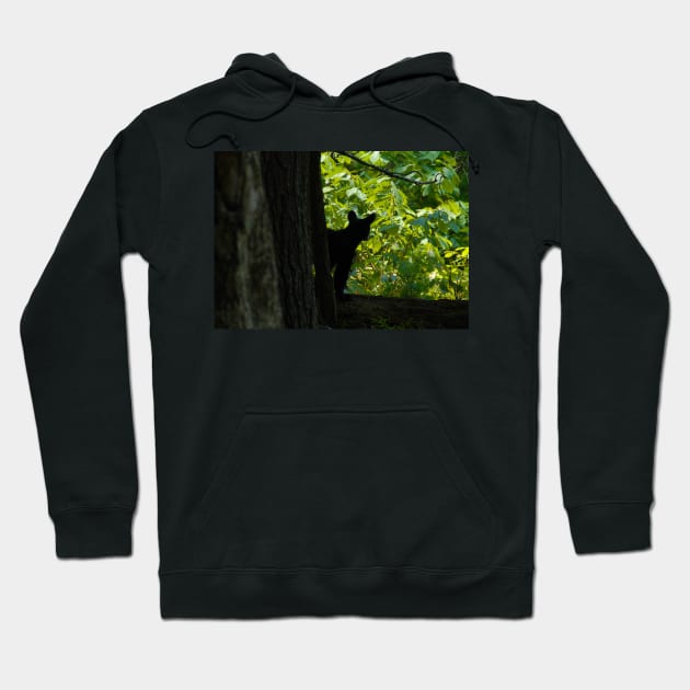 Wilderness Cub Hoodie by dltphoto